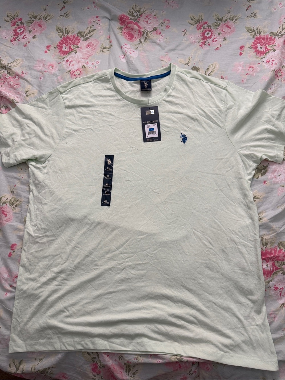 U.S. Polo Assn. Men's Crew Neck Tee in Light Mint with Blue Logo